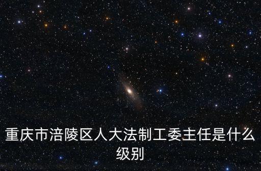 重慶市涪陵區(qū)人大法制工委主任是什么級別