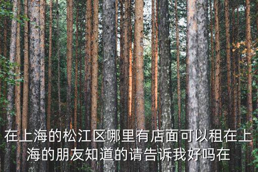 在上海的松江區哪里有店面可以租在上海的朋友知道的請告訴我好嗎在
