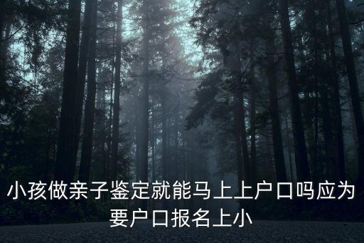 小孩做親子鑒定就能馬上上戶口嗎應(yīng)為要戶口報(bào)名上小