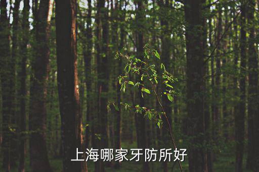 上海哪家牙防所好