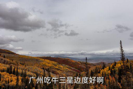 廣州吃牛三星邊度好啊