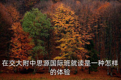 在交大附中思源國際班就讀是一種怎樣的體驗