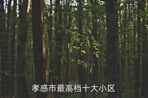孝感現在哪個小區房價最低，孝感市最高檔十大小區