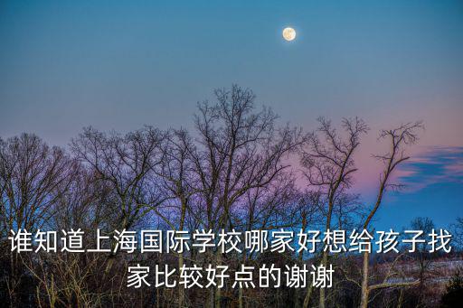 上海口碑好的國際學校，打算讓孩子出國上海哪家國際學校比較好大家推薦下