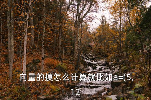 向量的模怎么算,數學名詞:向量和矩形空間