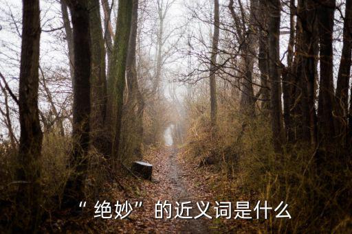 “ 絕妙”的近義詞是什么