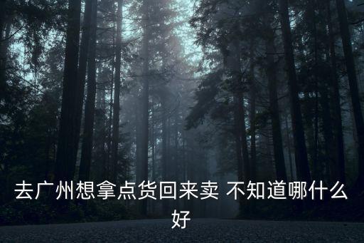 去廣州想拿點貨回來賣 不知道哪什么好