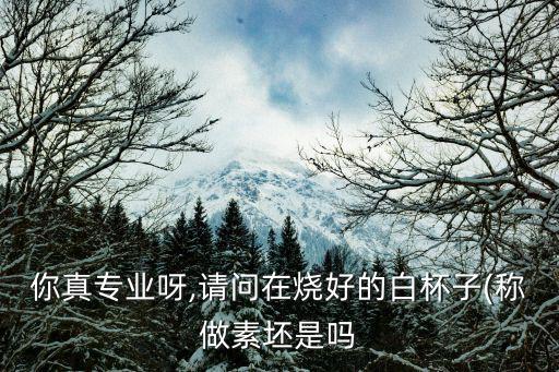 你真專業呀,請問在燒好的白杯子(稱做素坯是嗎
