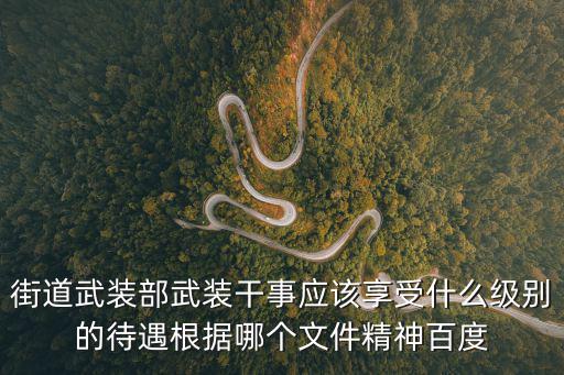 街道武裝部武裝干事應該享受什么級別的待遇根據哪個文件精神百度