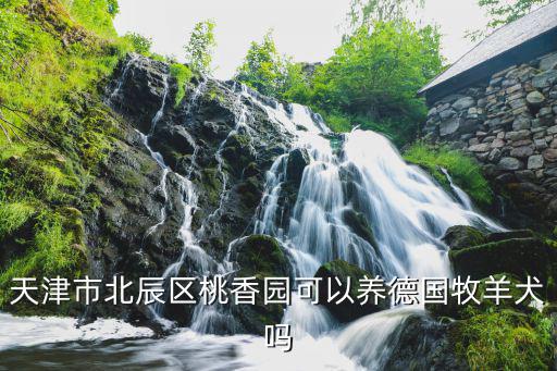 天津市北辰區桃香園可以養德國牧羊犬嗎