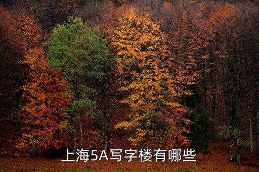 上海市乙級寫字樓，上海5A寫字樓有哪些