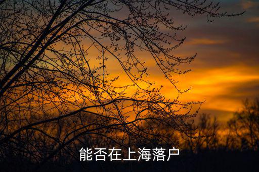 能否在上海落戶
