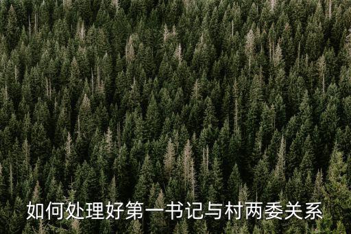 第一書(shū)記和書(shū)記的關(guān)系，如何處理好第一書(shū)記與村兩委關(guān)系