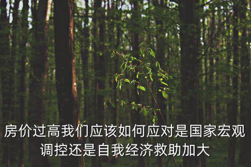 房?jī)r(jià)過(guò)高我們應(yīng)該如何應(yīng)對(duì)是國(guó)家宏觀調(diào)控還是自我經(jīng)濟(jì)救助加大