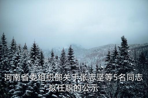 河南省委組織部關(guān)于張志堅(jiān)等5名同志擬任職的公示