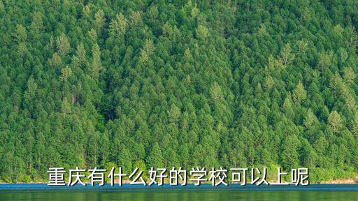 重慶市空港學(xué)院，兩路空港校的名字