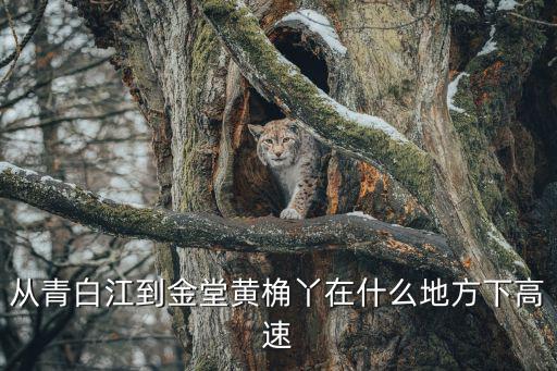 從青白江到金堂黃桷丫在什么地方下高速
