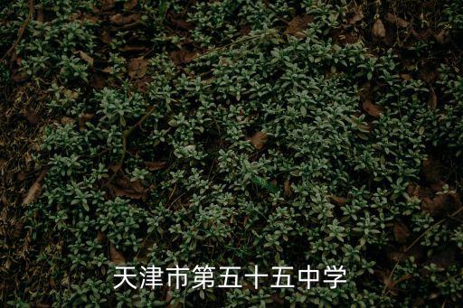 天津市第五十五中學(xué)