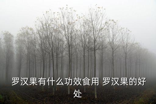  羅漢果有什么功效食用 羅漢果的好處