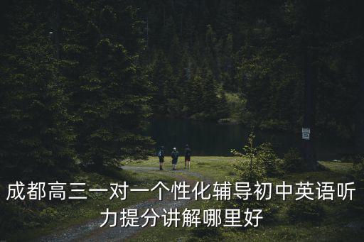 成都高三一對一個性化輔導初中英語聽力提分講解哪里好