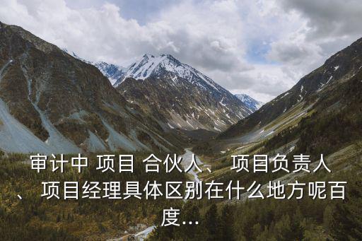 審計中 項目 合伙人、 項目負責人、 項目經理具體區(qū)別在什么地方呢百度...