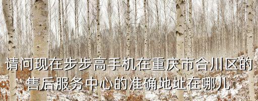重慶市合川區哪有跑步機出售，重慶哪里可以買到物美價廉的跑步機