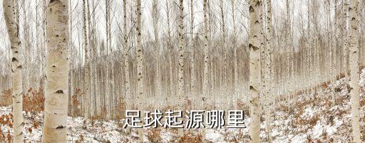 足球起源地,國際足聯(lián):足球起源于中國鞠躬是現(xiàn)代雛形足球