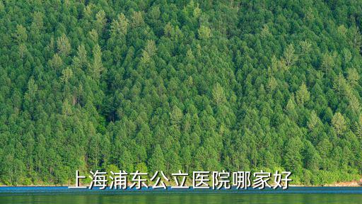 上海浦東公立醫院哪家好