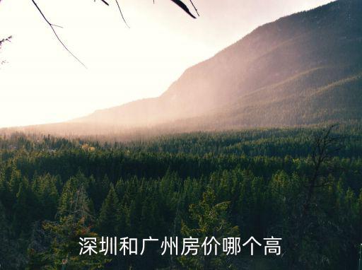 深圳廣州哪個房價貴一些，深圳房價最貴有廣州珠江新城貴嗎