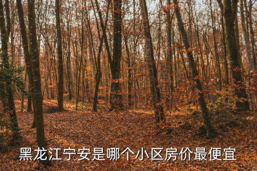 黑龍江寧安是哪個小區房價最便宜