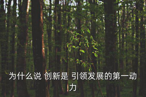 為什么說 創新是 引領發展的第一動力