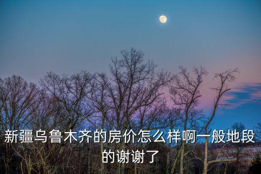 新疆烏魯木齊的房價怎么樣啊一般地段的謝謝了