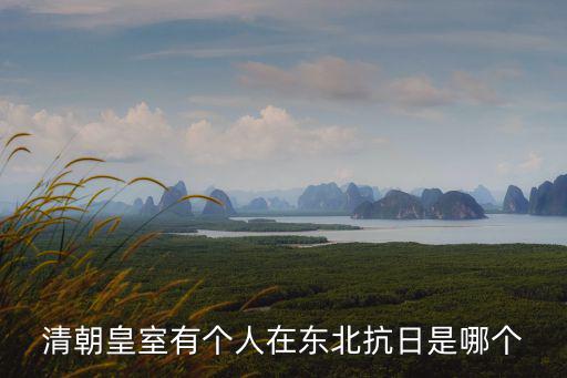 清朝皇室有個人在東北抗日是哪個