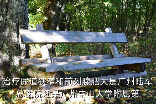 治療尿道狹窄和前列腺肥大是廣州陸軍總醫(yī)院還是廣州中山大學(xué)附屬第