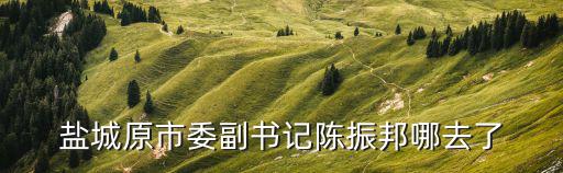 鹽城原市委副書記陳振邦哪去了