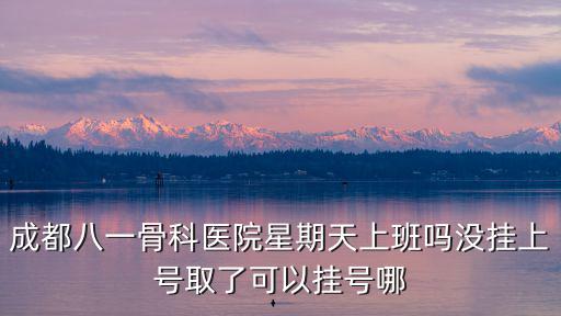 成都八一骨科醫院星期天上班嗎沒掛上號取了可以掛號哪