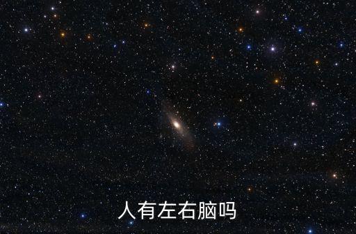 人有左右腦嗎
