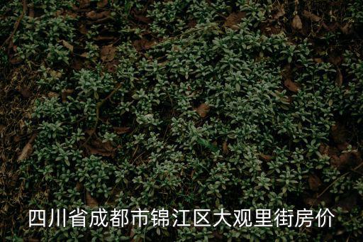 四川省成都市錦江區大觀里街房價