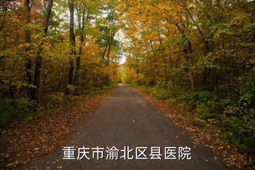 重慶市的縣級醫院有哪些，重慶沙坪壩區有哪些區縣級以上公立醫院