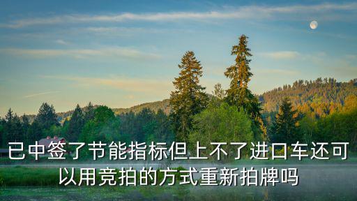 已中簽了節(jié)能指標但上不了進口車還可以用競拍的方式重新拍牌嗎