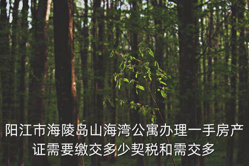 陽江市海陵島山海灣公寓辦理一手房產證需要繳交多少契稅和需交多
