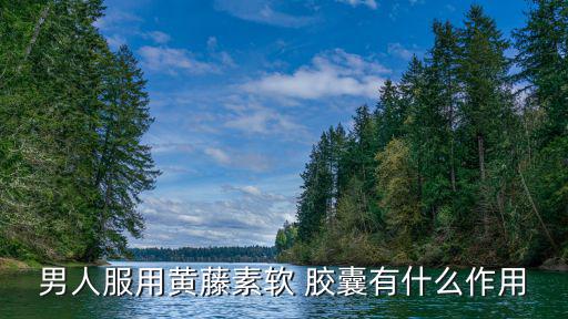男人服用黃藤素軟 膠囊有什么作用