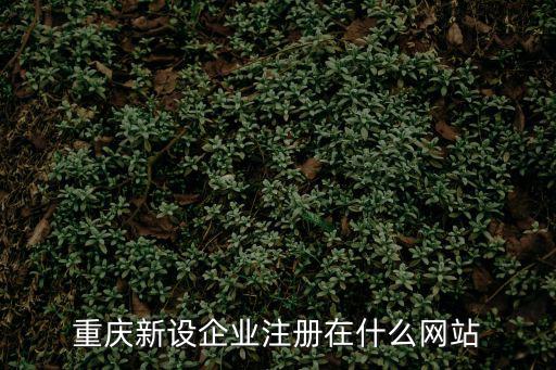 重慶新設(shè)企業(yè)注冊(cè)在什么網(wǎng)站