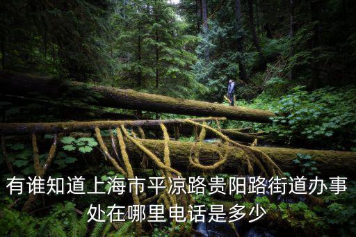 有誰知道上海市平?jīng)雎焚F陽路街道辦事處在哪里電話是多少