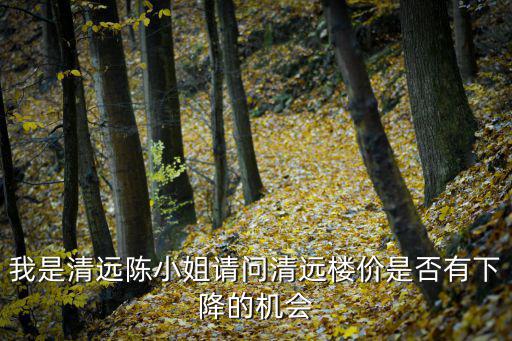 我是清遠陳小姐請問清遠樓價是否有下降的機會