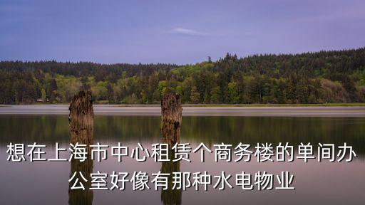 想在上海市中心租賃個商務(wù)樓的單間辦公室好像有那種水電物業(yè)