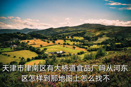 天津市津南區有大橋道食品廠嗎從河東區怎樣到那地圖上怎么找不