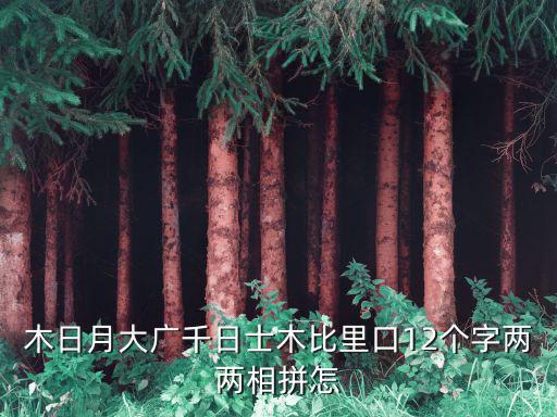 木日月大廣千日士木比里口12個(gè)字兩兩相拼怎
