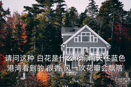 請(qǐng)問(wèn)這種 白花是什么花前兩天在藍(lán)色港灣看到的,很香,風(fēng)一吹花瓣會(huì)飄落...