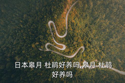  日本皋月 杜鵑好養(yǎng)嗎,皋月 杜鵑好養(yǎng)嗎